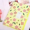 Expanding File Folder