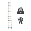 Telescopic Stainless Steel Ladder 4.42 m (14.5 Ft) 15 Step