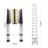 Telescopic Stainless Steel Ladder 4.42 m (14.5 Ft) 15 Step