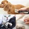 Pet Grooming Kit
