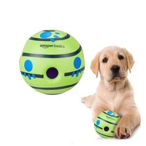 Ball Squeaky Dog Toy
