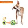 Ball Squeaky Dog Toy
