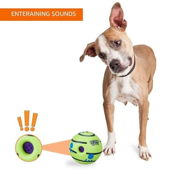 Ball Squeaky Dog Toy