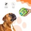 Ball Squeaky Dog Toy