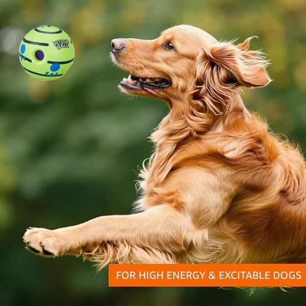 Ball Squeaky Dog Toy